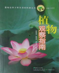 观察植物的视频,视频揭示生命奇迹瞬间