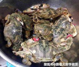 花盖蟹视频,探寻海洋珍馐背后的传奇故事