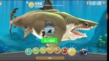 巨齿鲨游戏视频,深海巨兽的惊险冒险之旅
