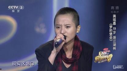 蒋瑶嘉梦的堡垒视频,揭秘“梦的堡垒”背后的奇幻世界