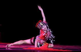 中国舞七级舞蹈视频全部,舞动青春，传承国韵