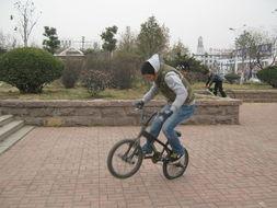 单车视频,单车视频中的动感瞬间回顾