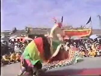 海丰虎狮视频,探寻民间艺术瑰宝的传承与魅力