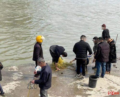 现场捕鱼视频,惊心动魄的海洋捕捞瞬间