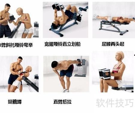 哑铃锻炼方法大全视频,全方位动作解析与训练技巧