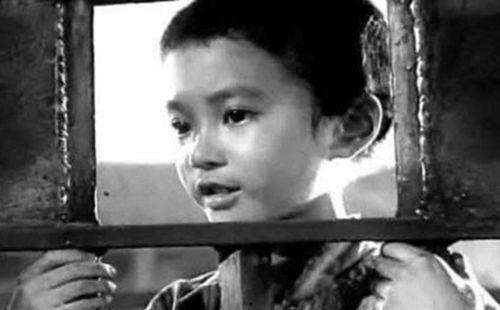 小萝卜头的视频,揭秘童年英雄的传奇故事