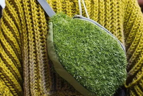 青青青草视频最新,探索青春活力，共赴青春盛宴