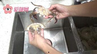 怎样杀螃蟹视频,揭秘高效捕蟹技巧