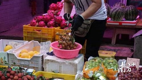 榨粉视频直播